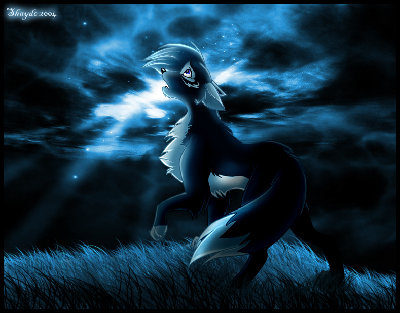 Copy (2) of Blue_Night_by_shayde.jpg