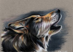 wolf_by_EatToast.jpg