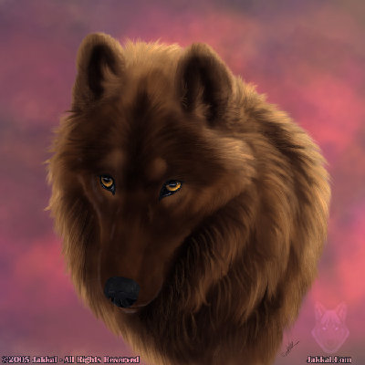 Generic_Wolf_Portrait_by_Drakkolupen.jpg