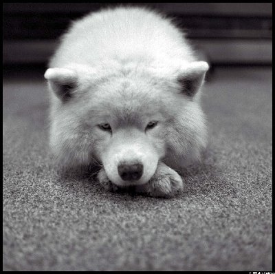 george-alone-19.jpg